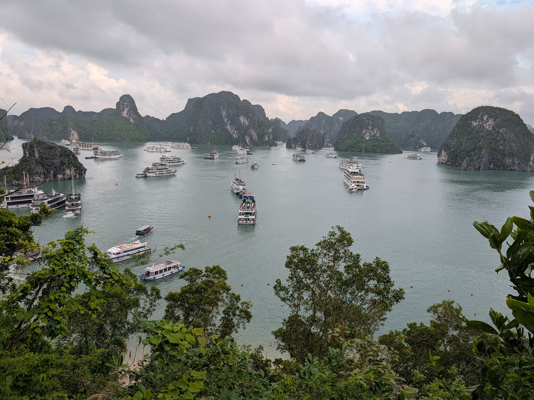 Aime'e Cruises-Quang Ninh必去景点