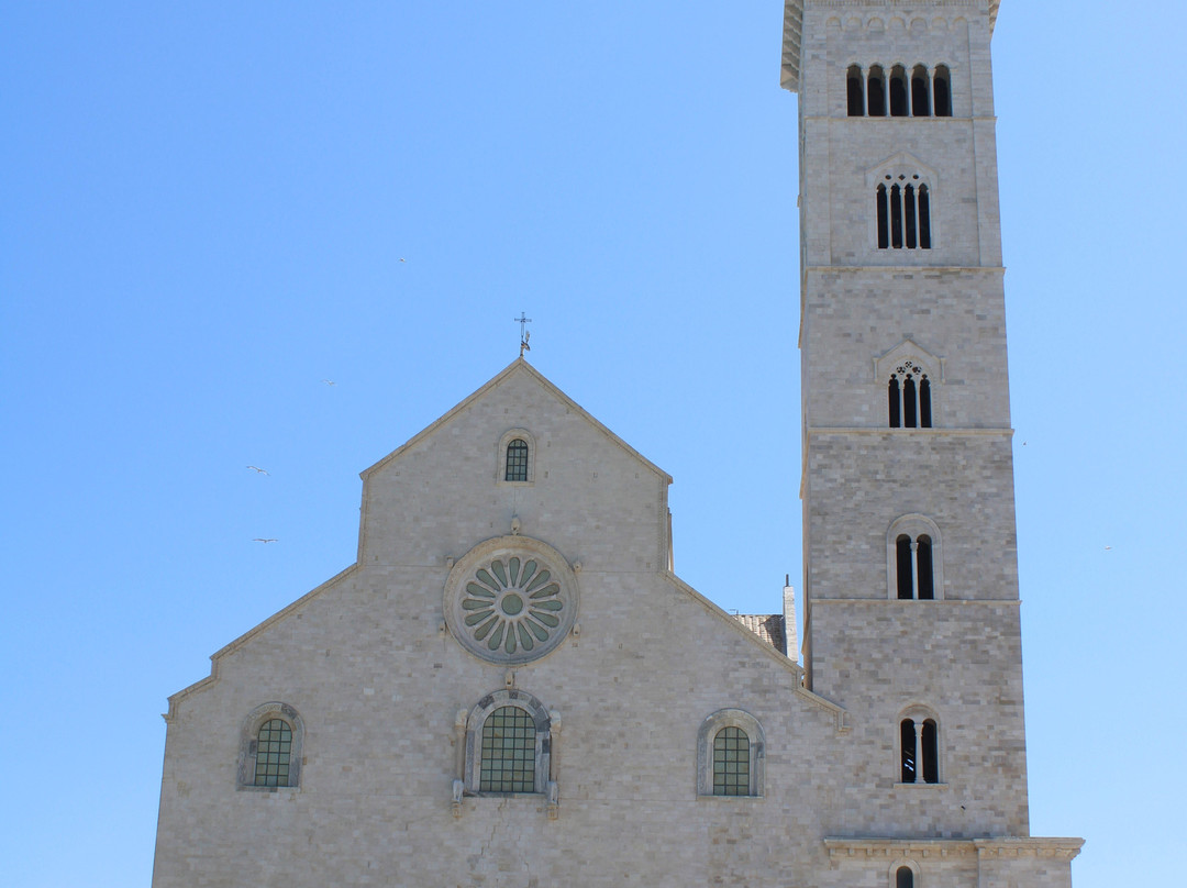 Cattedrale di Trani-特拉尼必去景点