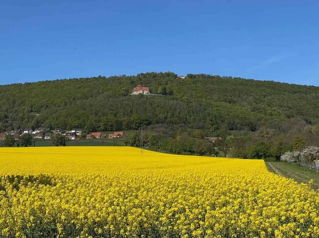 Burg Schaumburg-Rinteln必去景点