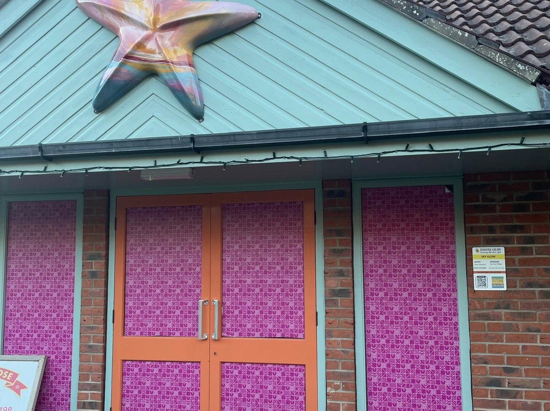 Starfish Galaxy Art Sculpture Trail-Hornsea必去景点