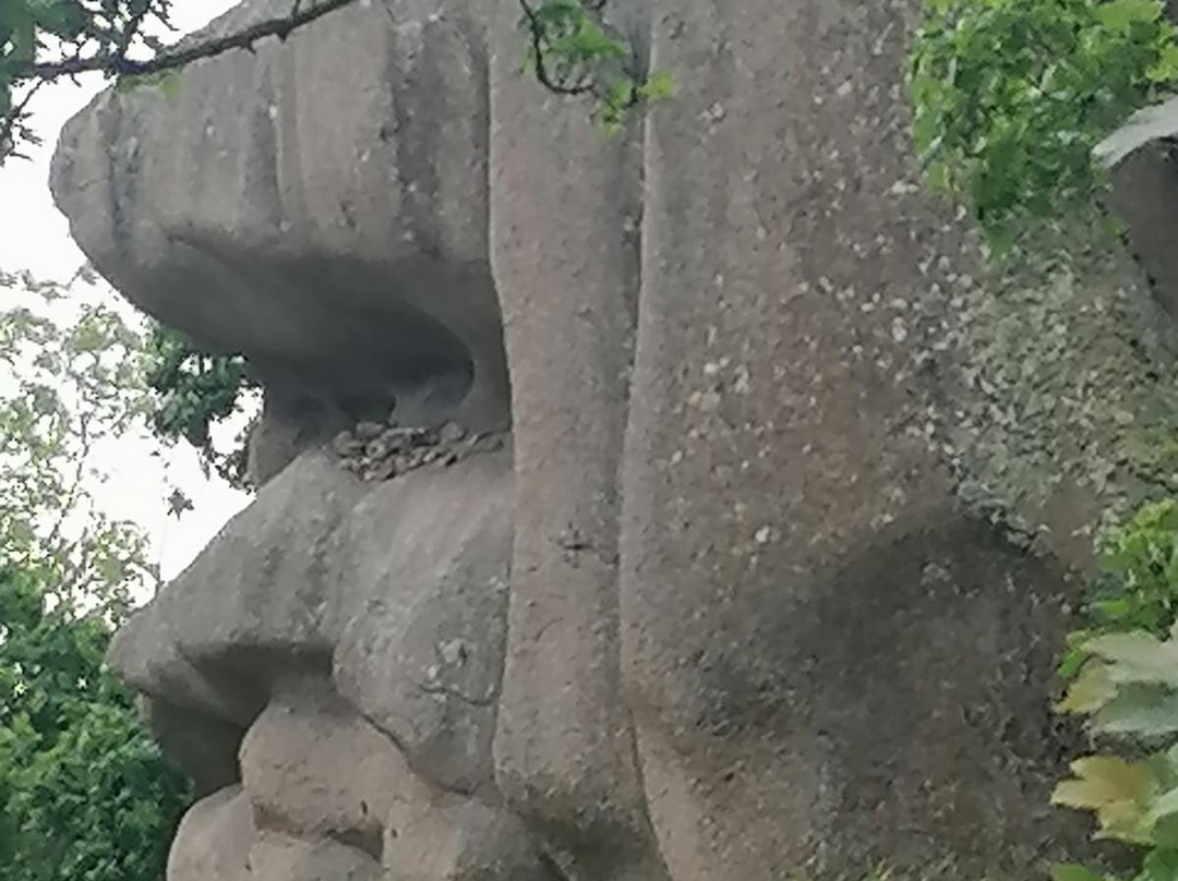 Cote de Granit Rose-拉尼翁必去景点