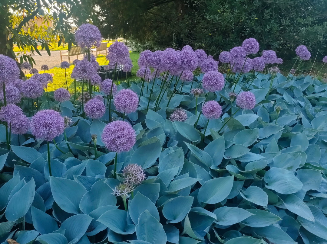 Arboretum Volčji Potok-Radomlje必去景点