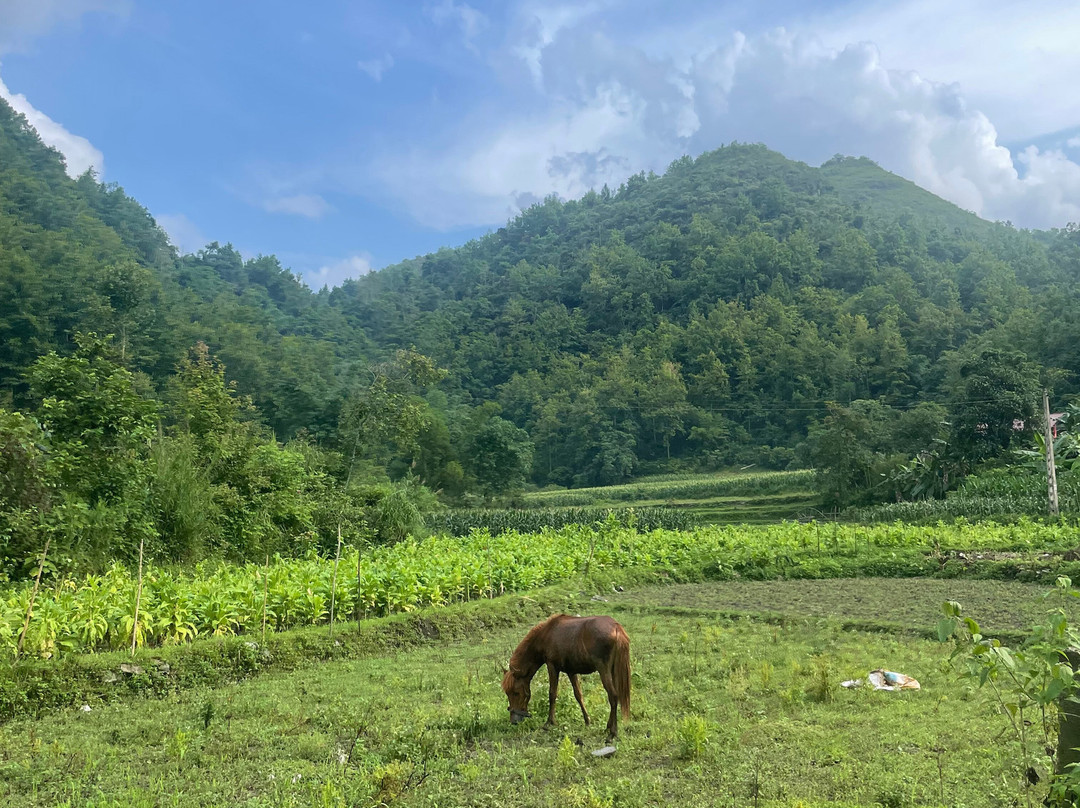 Cao Bang Motorbike Rentals & Tours-高平必去景点