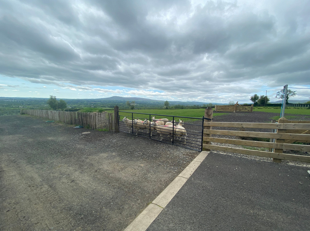 Glenshane Country Farm-Maghera必去景点