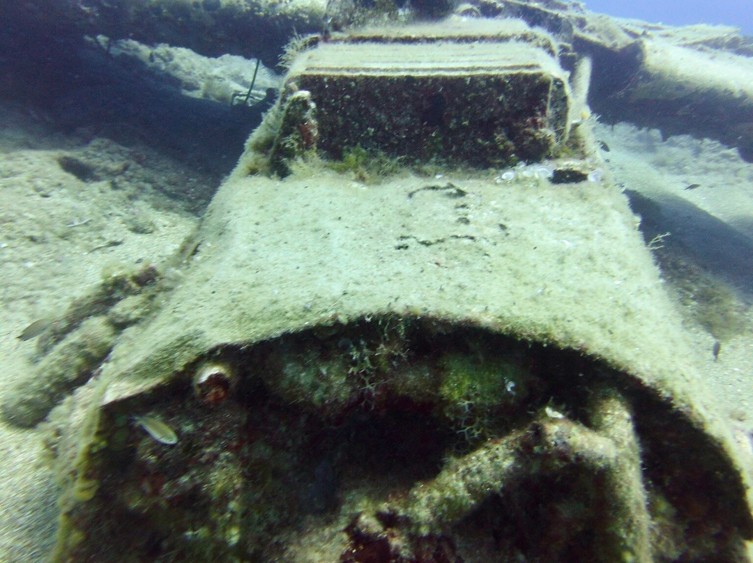 Coral Diving Crete-Anissaras必去景点