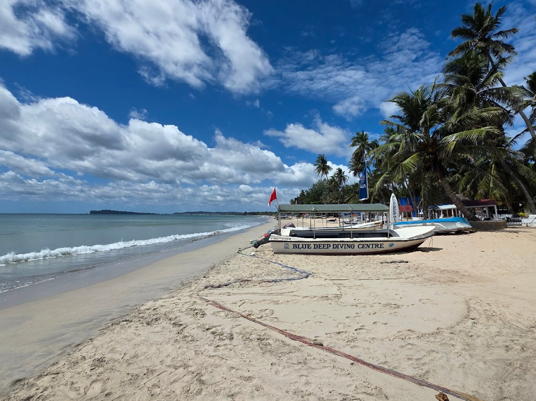 Ceylon Tours By Ananda-Raddolugama必去景点