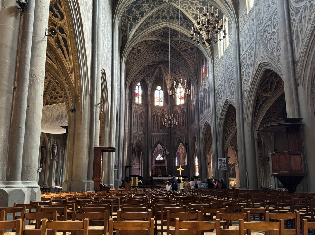 Cathédrale Saint-Francois-De-Sales-尚贝里必去景点