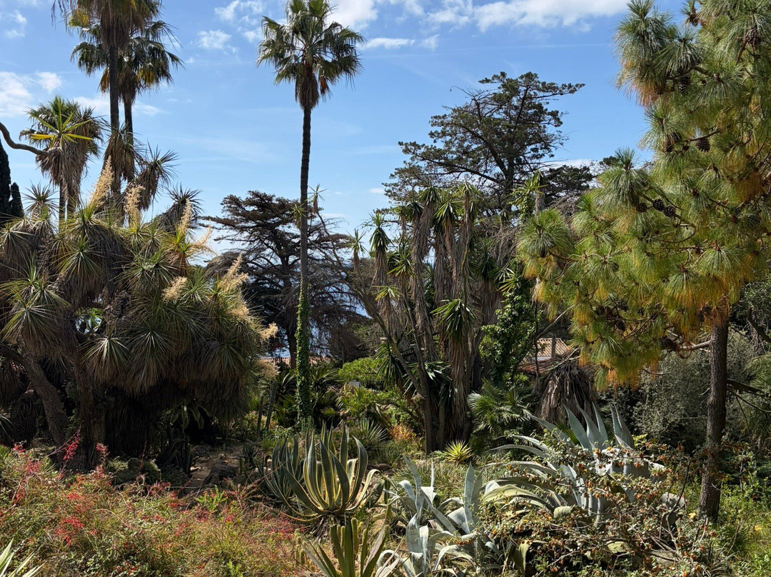 Jardí Botànic Marimurtra-布拉内斯必去景点