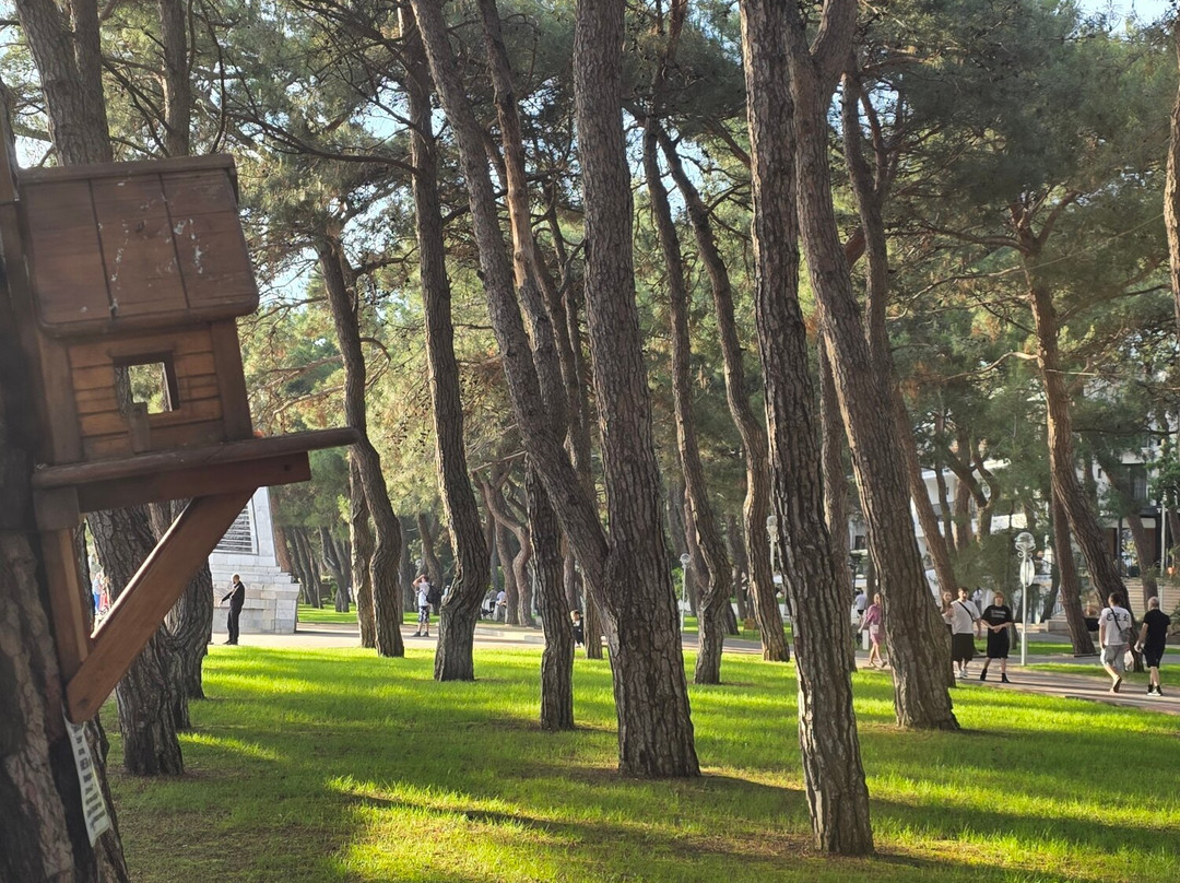 Gelendzhik Embankment-Gelendzhik必去景点