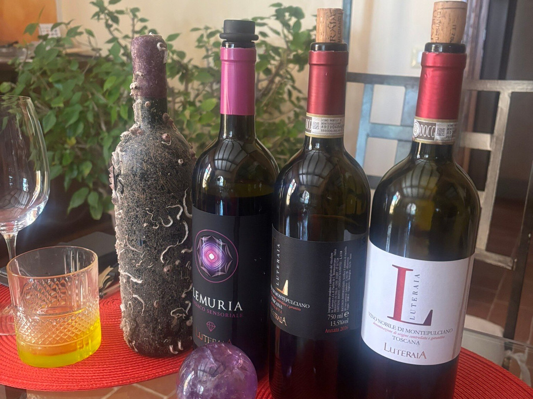 Azienda Luteraia-蒙特普尔恰诺必去景点