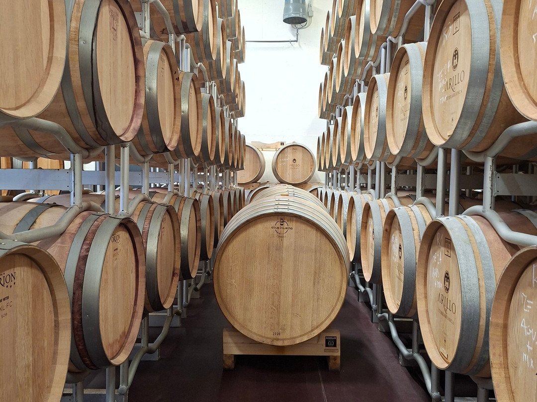 Tenuta il Tesoro, Arillo in Terrabianca-马萨马里蒂马必去景点