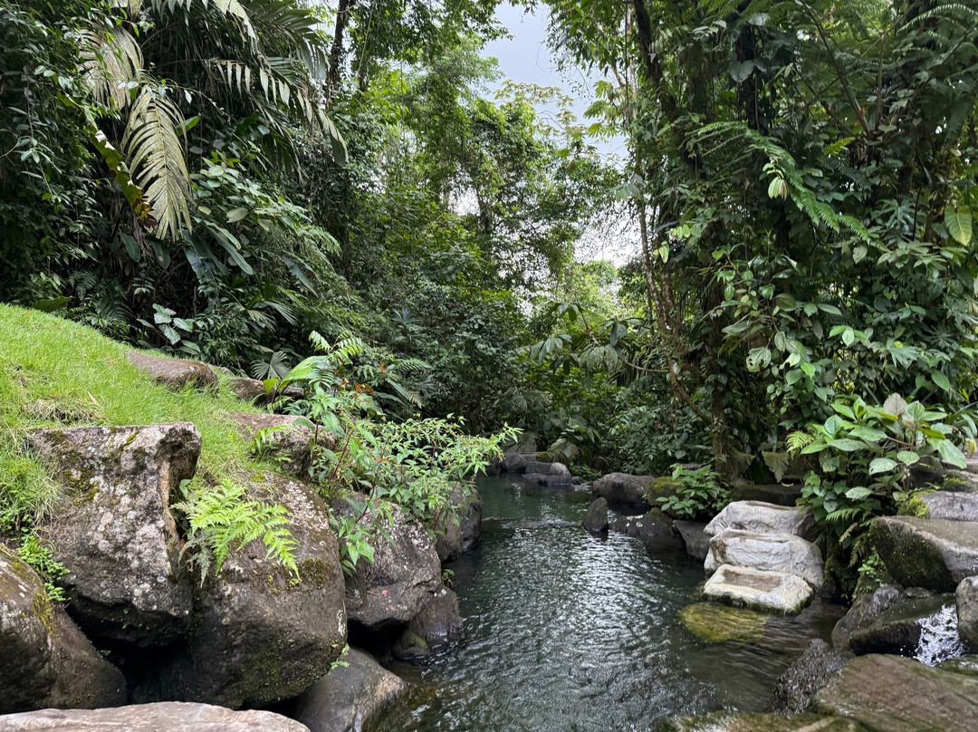 Kurú Natural Springs-福德圣卡洛斯必去景点