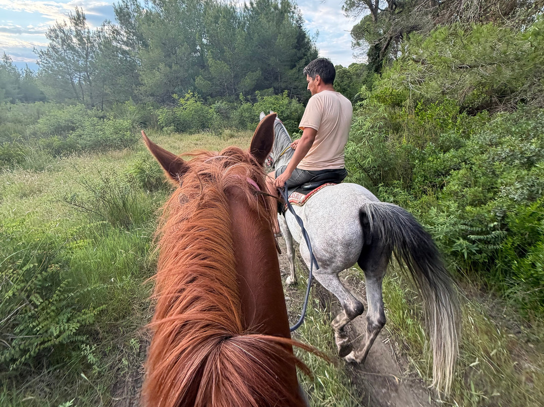 Belek Safari | Horse Riding Tour-Kumkoy必去景点