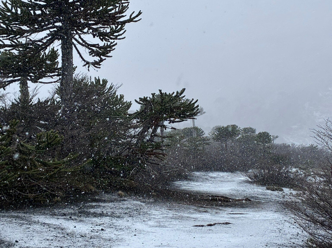 Parque Nacional Conguillio-Melipeuco必去景点