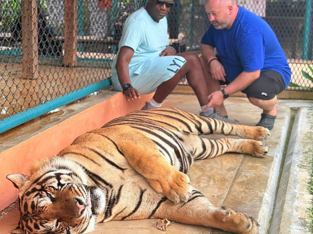 Tiger PARK Phuket-查龙必去景点
