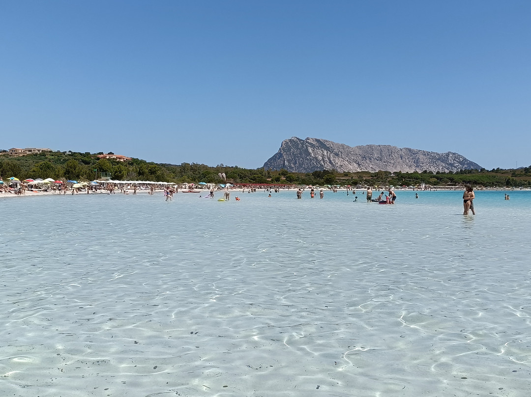 Cala Brandinchi-Capo Coda Cavallo必去景点