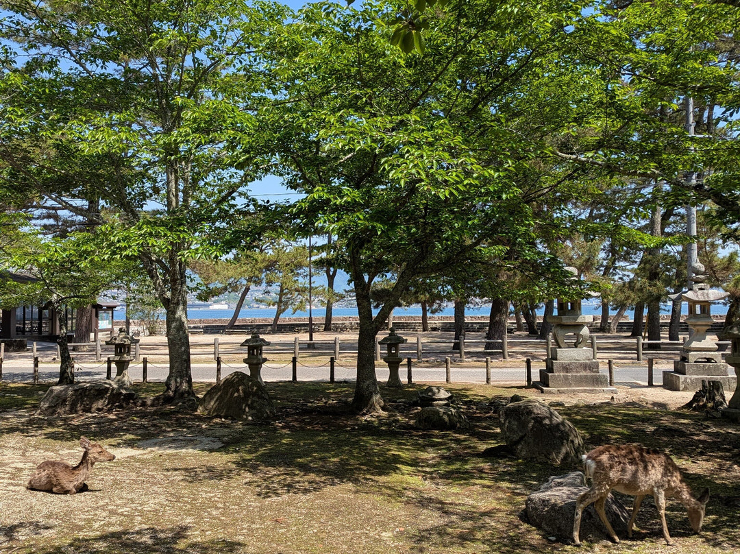宫岛町-廿日市市必去景点