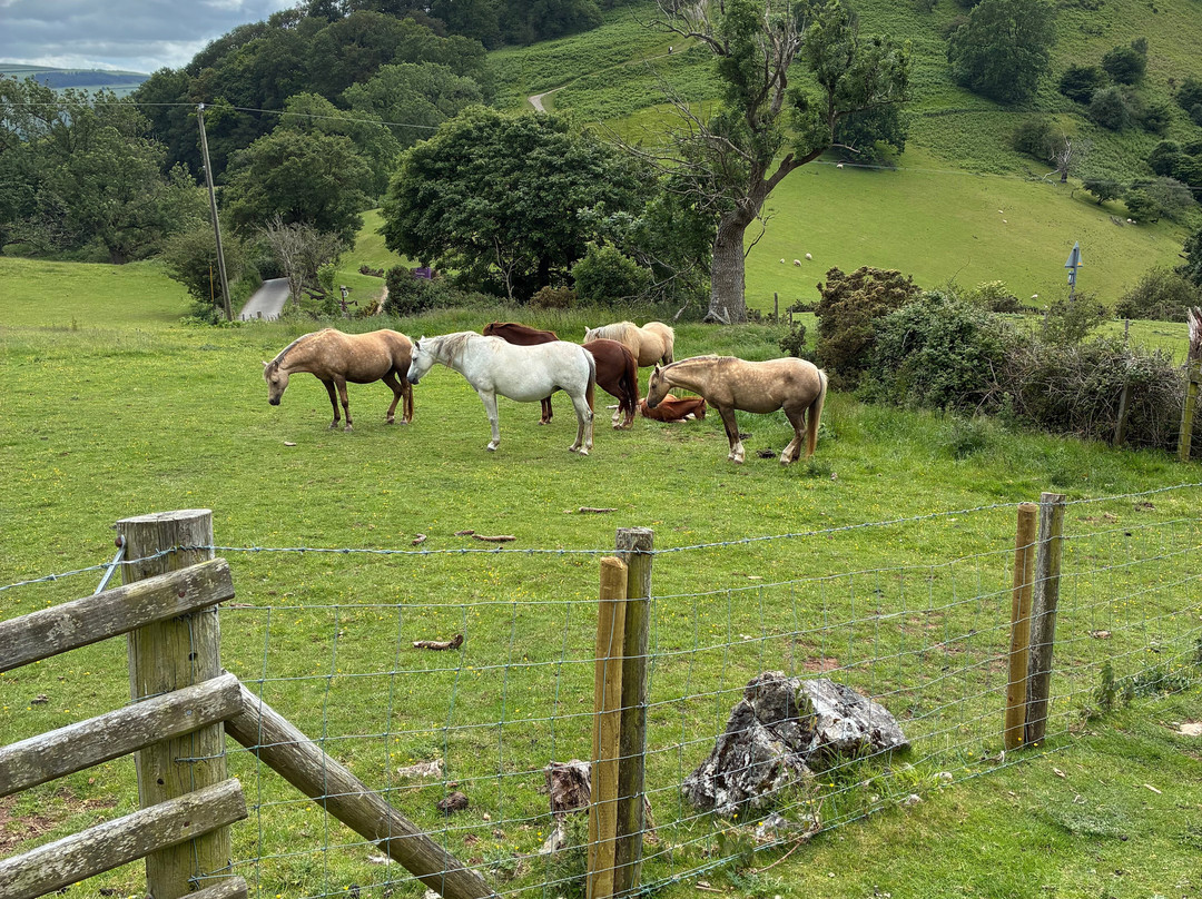 Castell Dinas Bran-兰戈伦必去景点