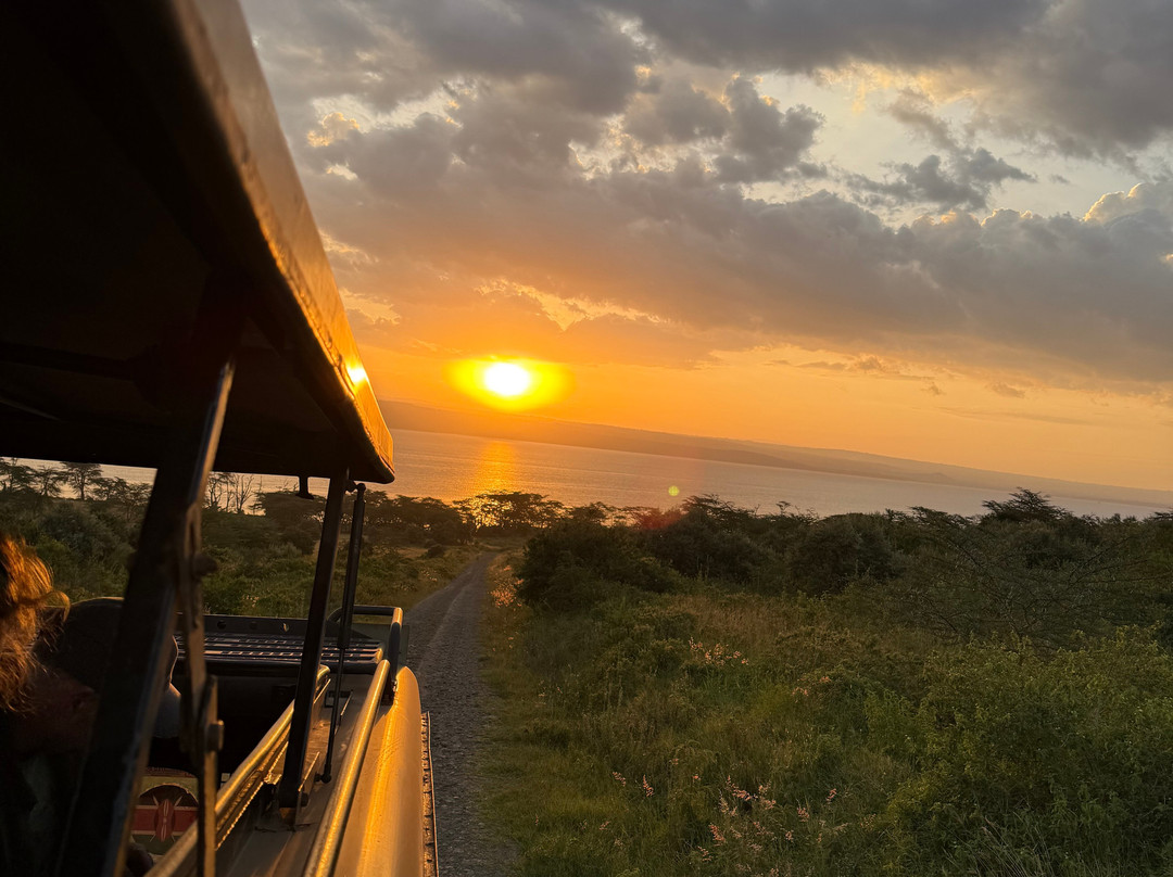 Live in Love Kenya tours and travel-Langata必去景点