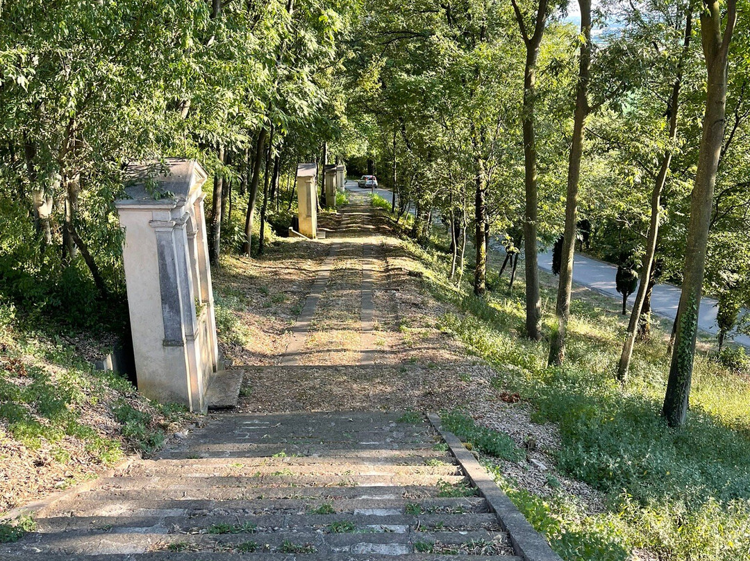 Chiesa e Convento di San Pancrazio-Barbarano Vicentino必去景点