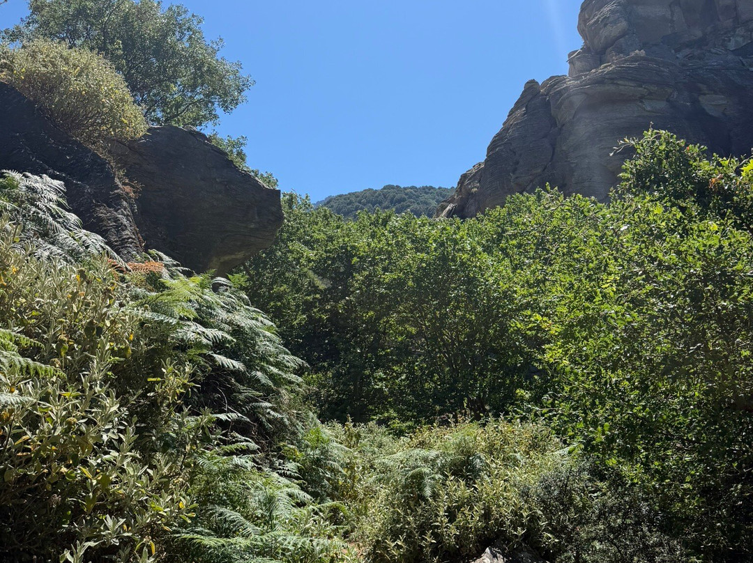 Dimosaris Canyon-Karystos必去景点