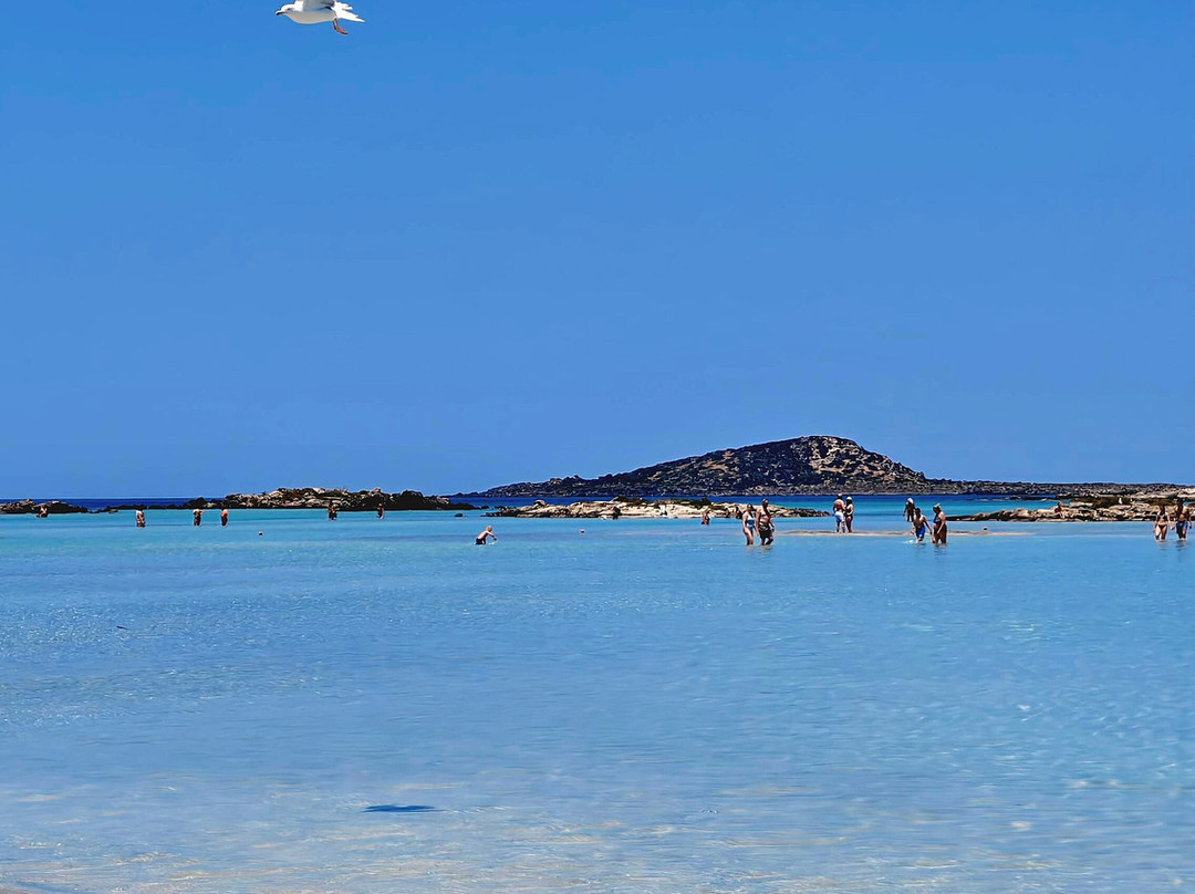 Elafonissi Beach-拉格尼西必去景点