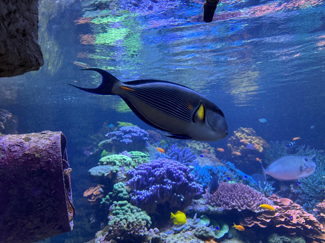 Long Island Aquarium-Riverhead必去景点