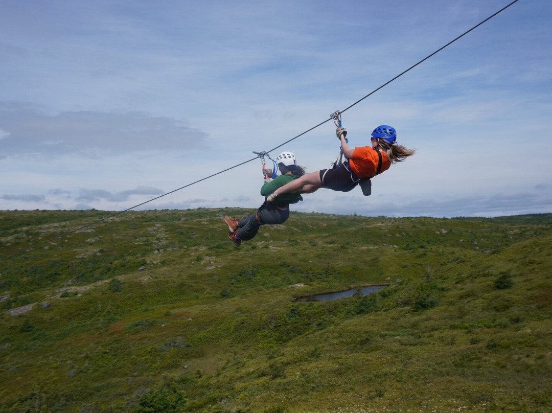 North Atlantic Ziplines-圣约翰必去景点