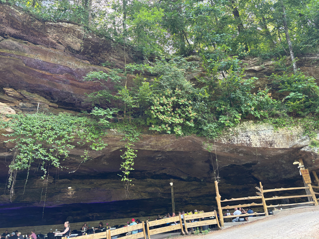 Rattlesnake Saloon-Tuscumbia必去景点