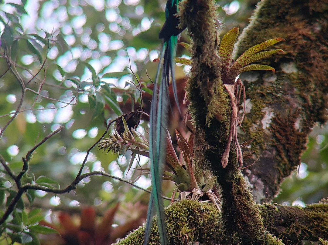 Highland Birds Tours-多塔圣赫拉多必去景点