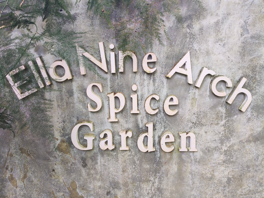 Ella Nine Arch Spice Garden-埃勒必去景点