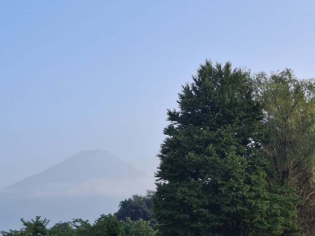 Yagizaki Park-富士河口湖町必去景点