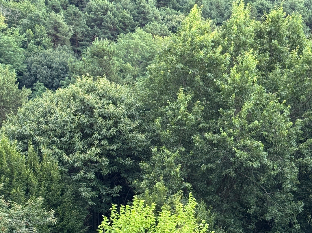 Cascina Rodiani - Green Hospitality主图