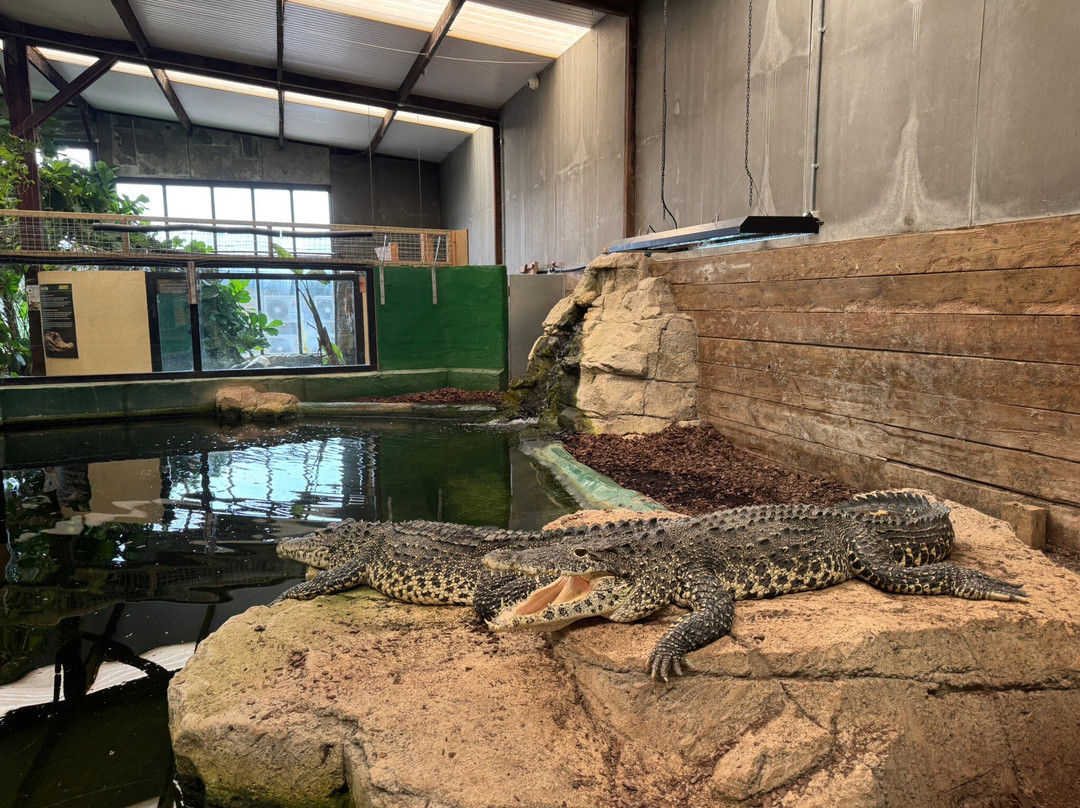 Crocodiles of the World-Brize Norton必去景点