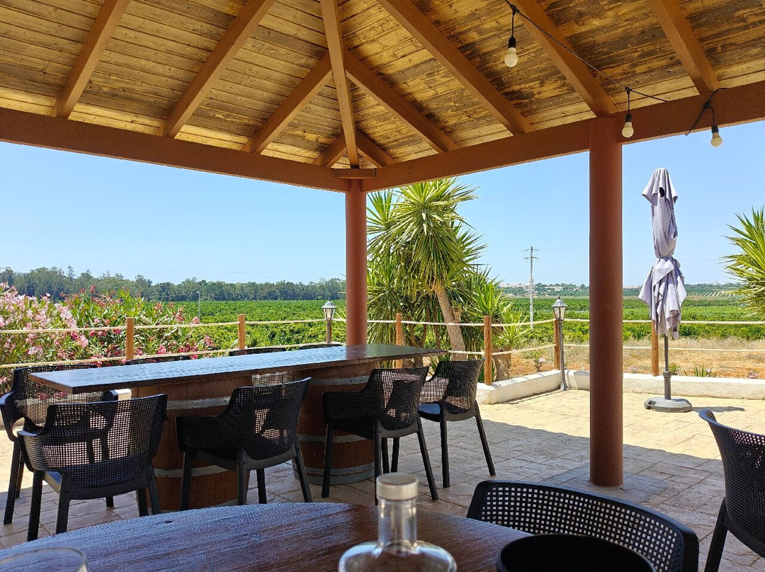 Villa Alvor - Wine & Tourism-阿沃必去景点