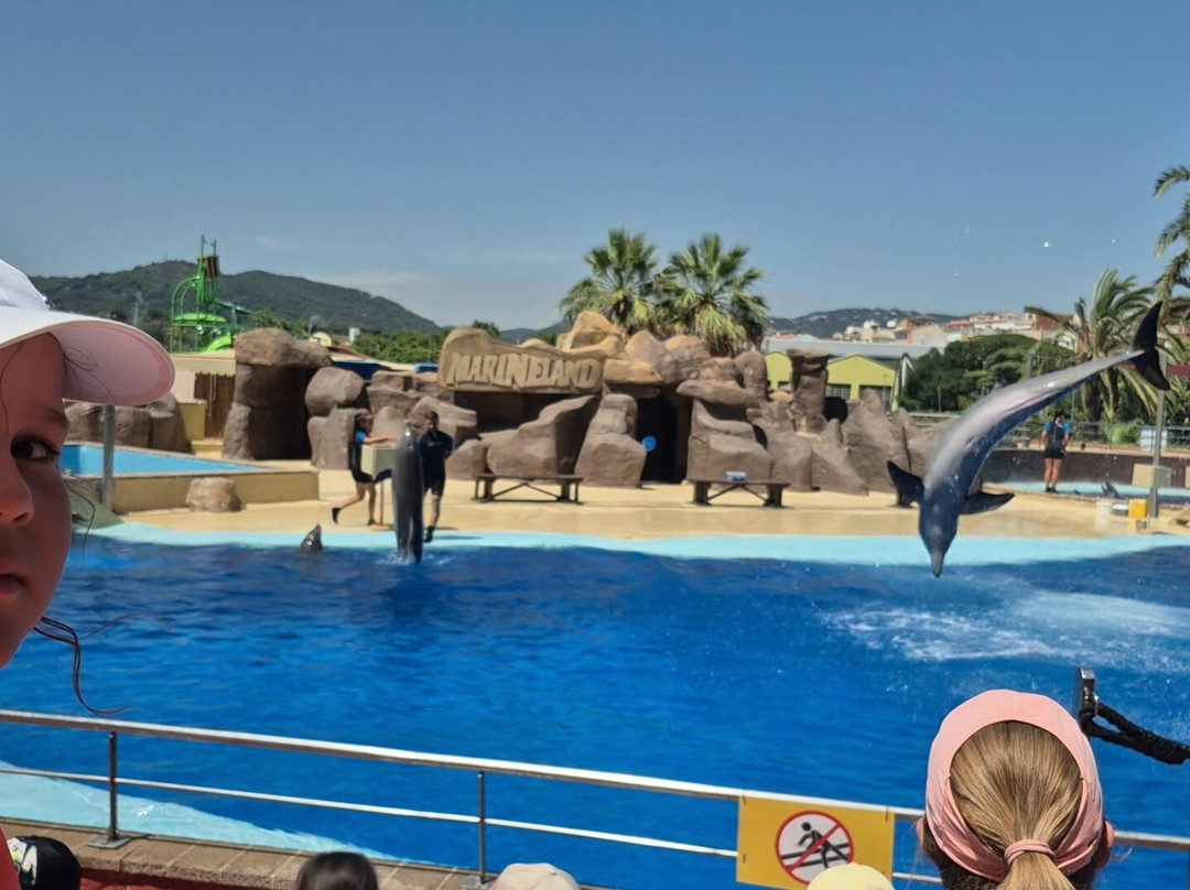 Marineland Catalunya-Palafolls必去景点