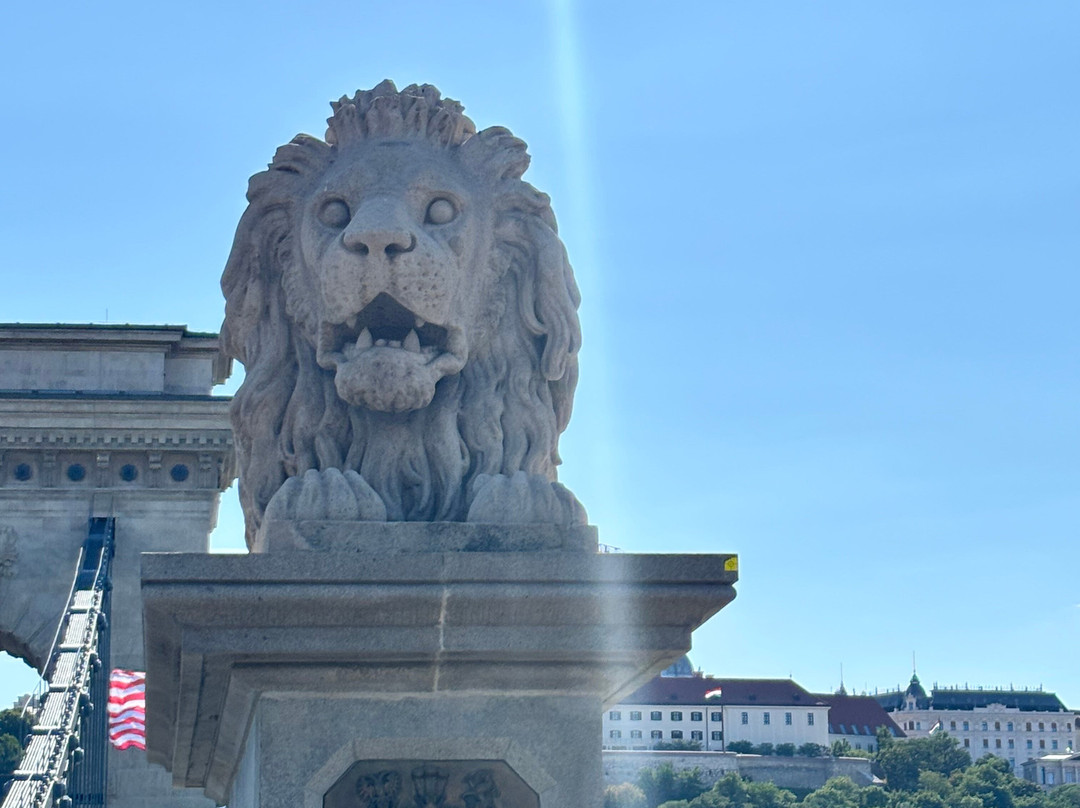 铁索桥（Szechenyi lanchid）-布达佩斯必去景点