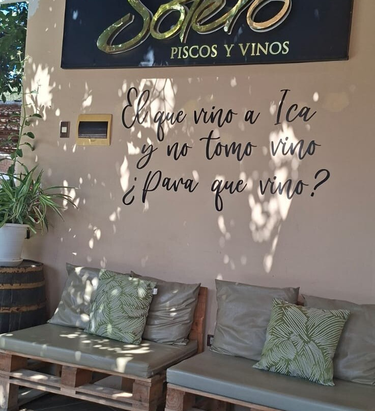 Bodega Y Viñedo Sotelo-伊卡必去景点