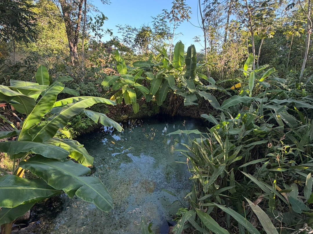 JALAPOEIROS ECOTOUR-Mateiros必去景点
