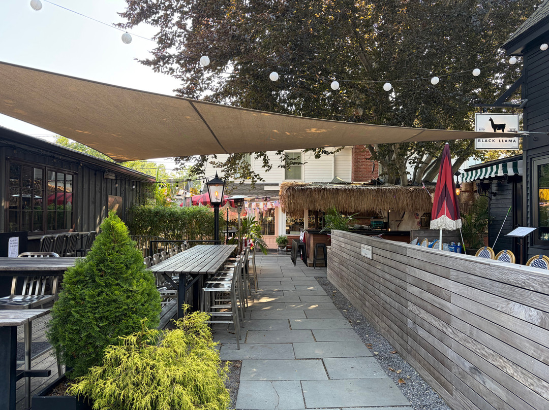 Orient酒店住宿-American Beech