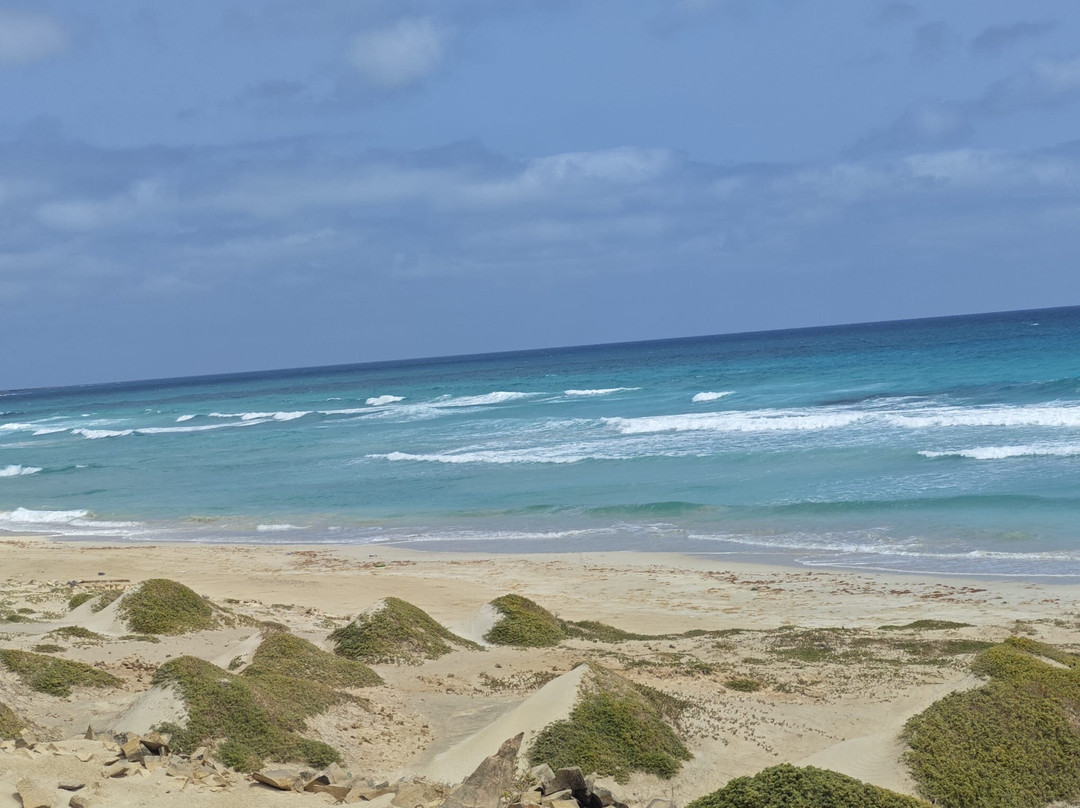 Pier Boa Vista Tours-博阿维斯塔必去景点