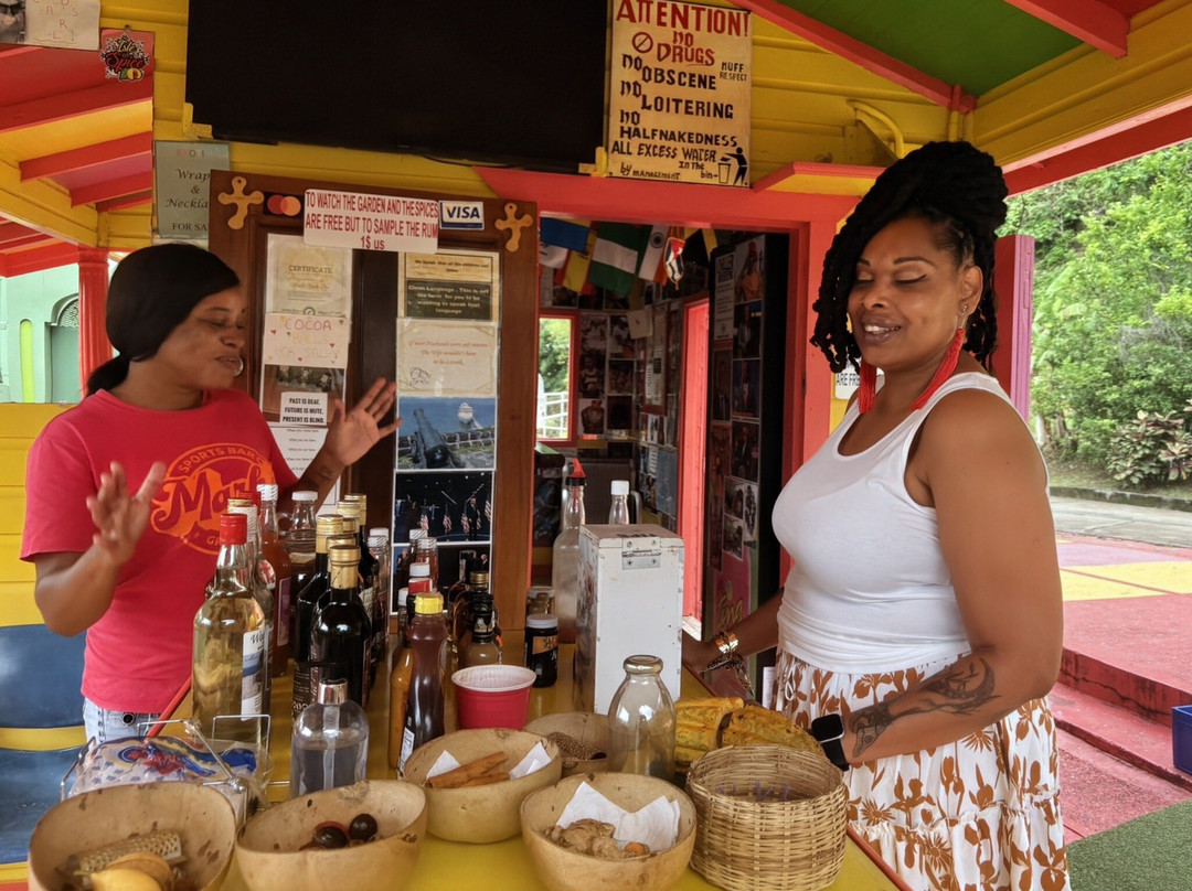 A Sweet Grenada Tours & Taxi-格林纳达必去景点