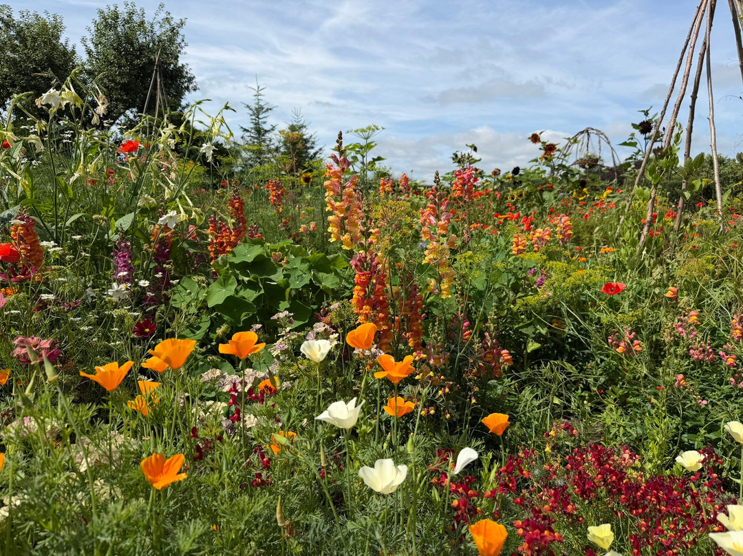 National Botanic Garden of Wales-Llanarthney必去景点