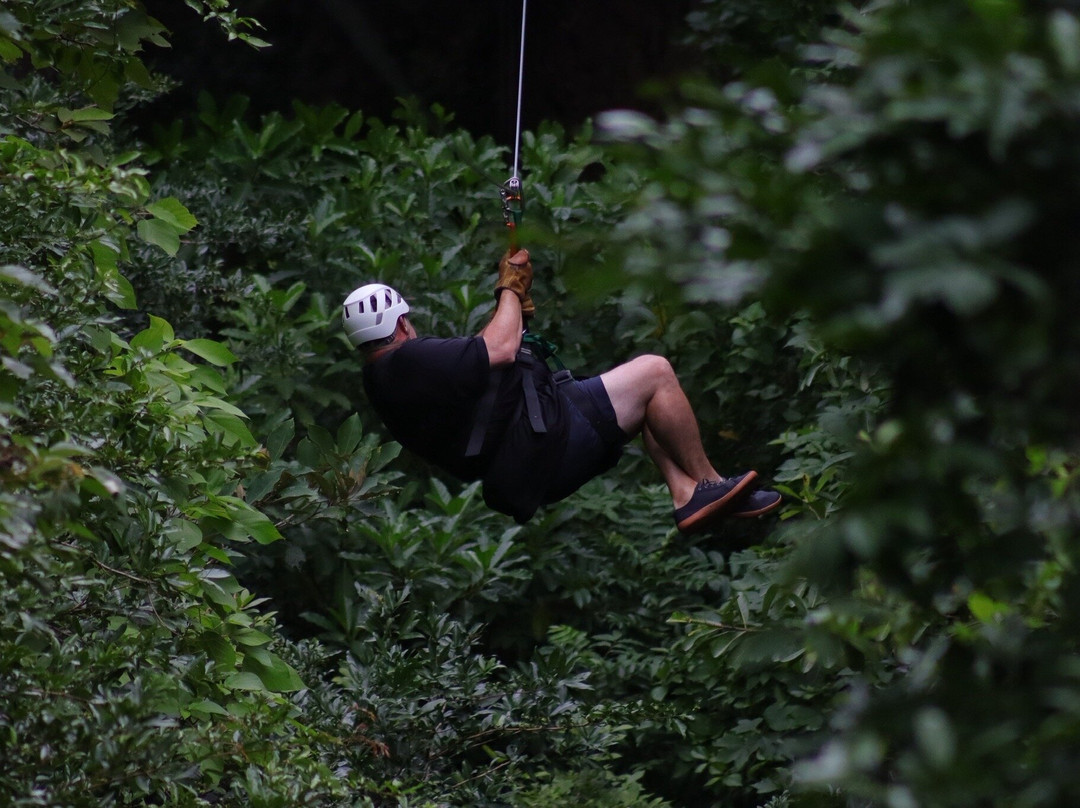Fayla Tours Costa Rica-萨迪纳尔必去景点