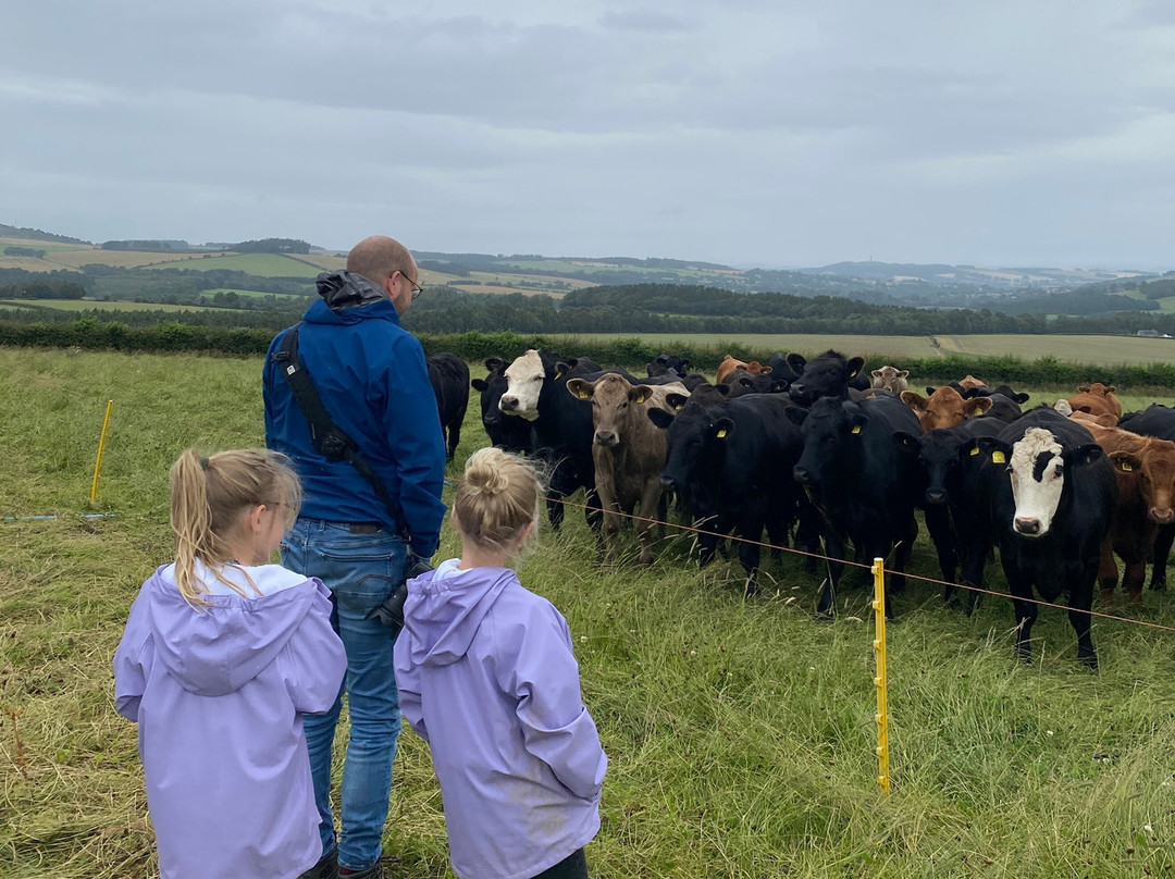 Bairnkine Farm Tours-Jedburgh必去景点