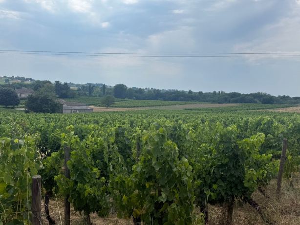 Clos de la Barbanne-旅行者