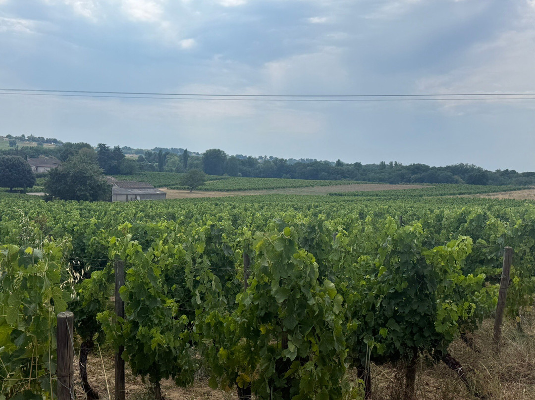 Clos de la Barbanne主图
