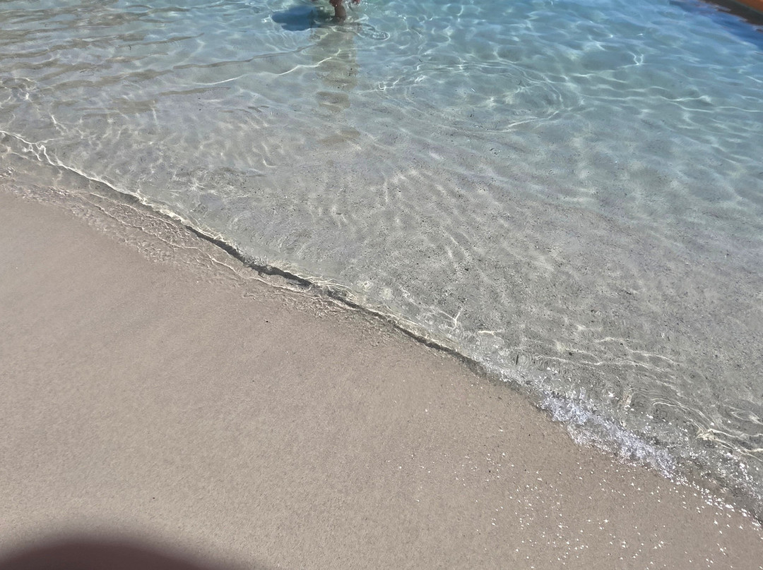 Spiaggia di Fetovaia-Campo nell'Elba必去景点