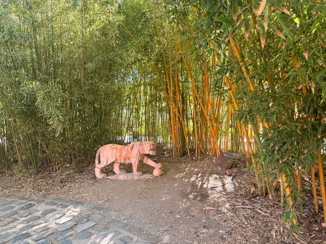 鸽子公园-班纳玛德纳必去景点