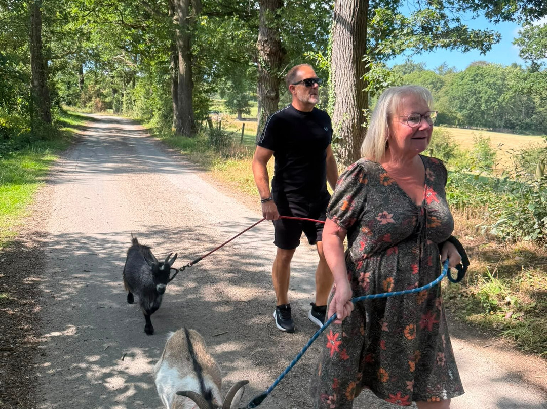 Walking the goats at Lower Coates-巴恩斯利必去景点